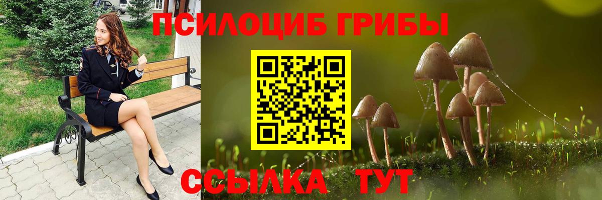 Славянск-на-Кубани  Псилоцибиновые грибы Cubensis  Вход с VPN 